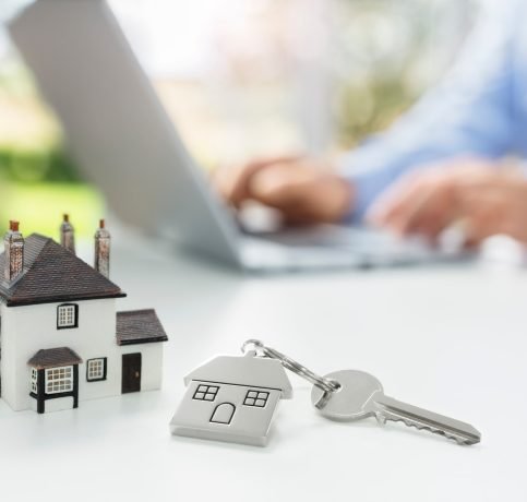 Searching the internet for real estate or new house